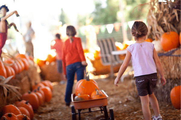 Buddy system for big events