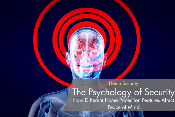 Psychology of security