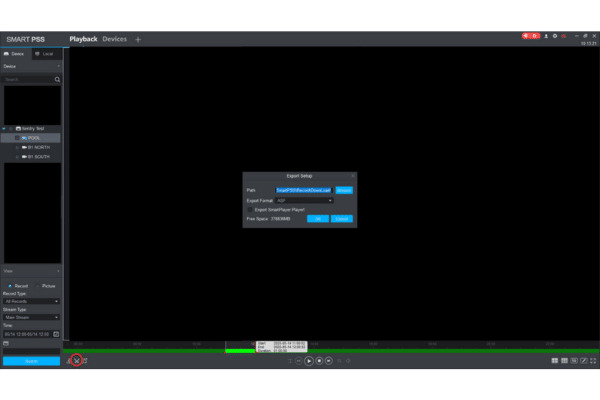 The Export Setup window in Smart PSS showing path selection and export format options