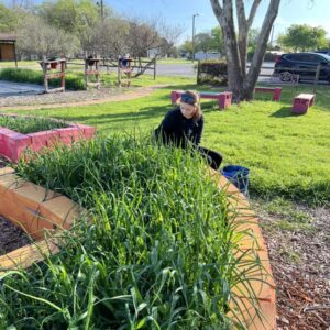 Vietnam Veterans' Day