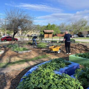 Vietnam Veterans' Day