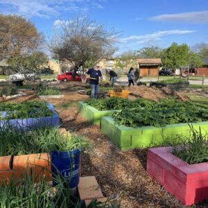 Vietnam Veterans' Day